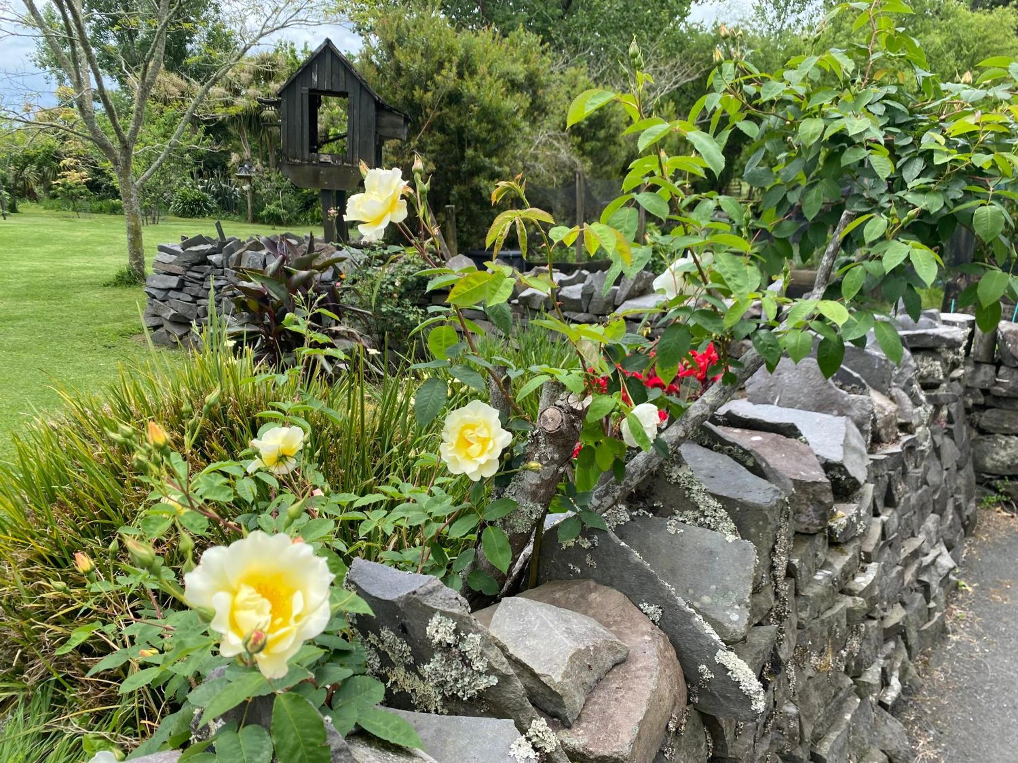 Willows Reach Lodge Kumeu Екстер'єр фото