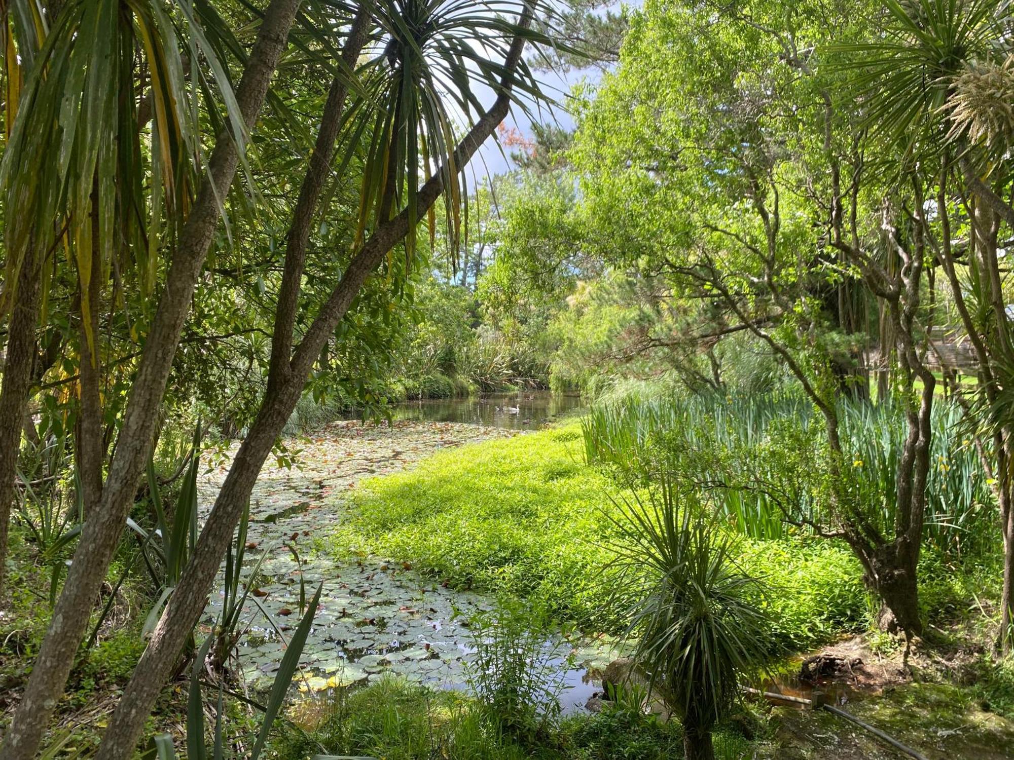 Willows Reach Lodge Kumeu Екстер'єр фото
