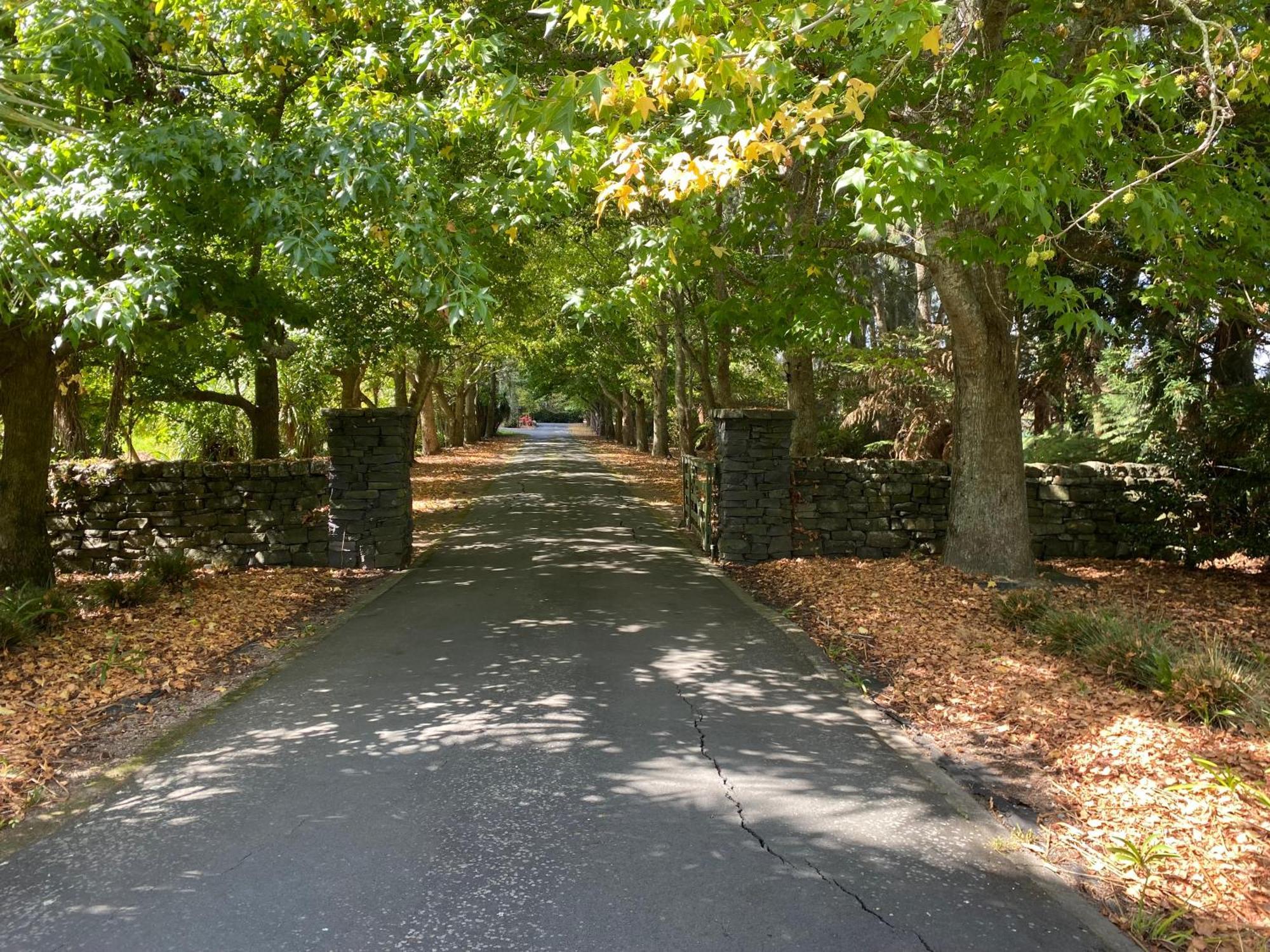 Willows Reach Lodge Kumeu Екстер'єр фото