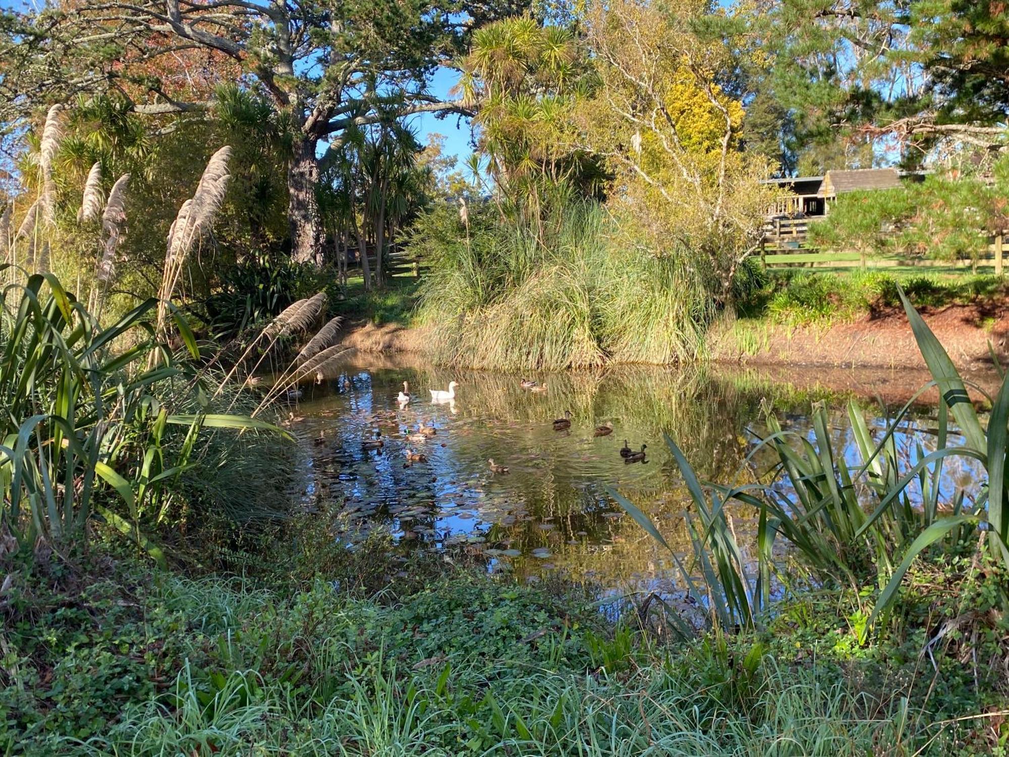 Willows Reach Lodge Kumeu Екстер'єр фото