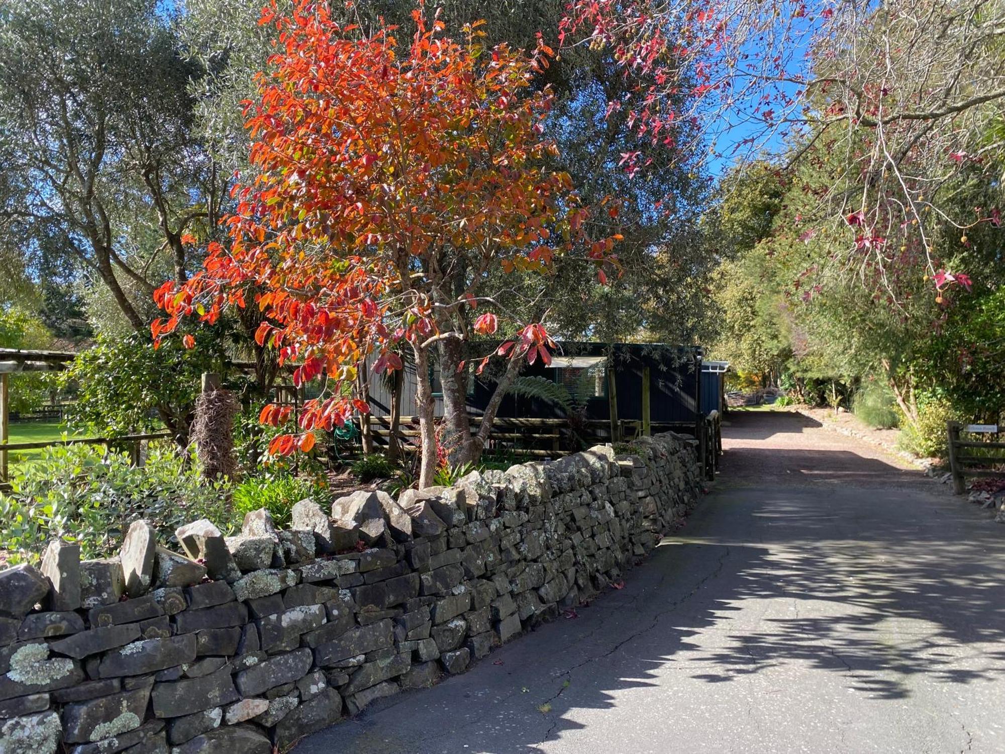Willows Reach Lodge Kumeu Екстер'єр фото
